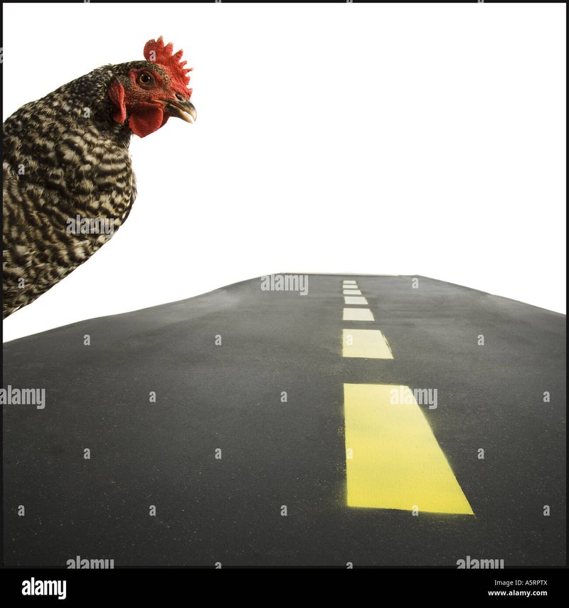 Image: Descubre las Nuevas Carreteras de Pollo con el Demo de Chicken Road 2 en España Image: Descubre las Nuevas Carreteras de Pollo con el Demo de Chicken Road 2 en España